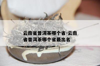 云南省普洱茶哪个省-云南省普洱茶哪个省最出名