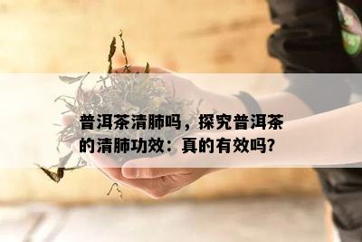 普洱茶清肺吗，探究普洱茶的清肺功效：真的有效吗？