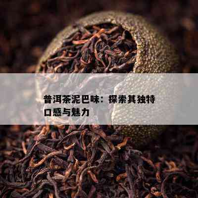 普洱茶泥巴味：探索其独特口感与魅力