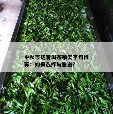 中秋节送普洱茶精美字句推荐：如何选择与赠送？