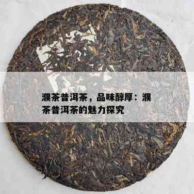 濮茶普洱茶，品味醇厚：濮茶普洱茶的魅力探究