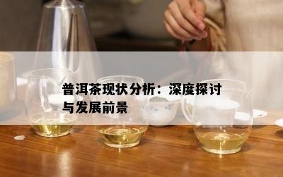 普洱茶现状分析：深度探讨与发展前景