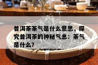 普洱茶茶气是什么意思，探究普洱茶的神秘气息：茶气是什么？