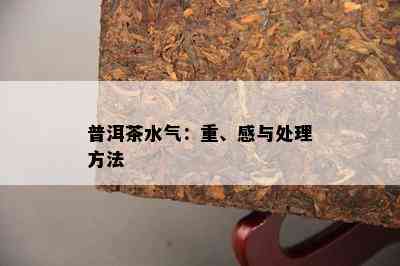 普洱茶水气：重、感与解决方法