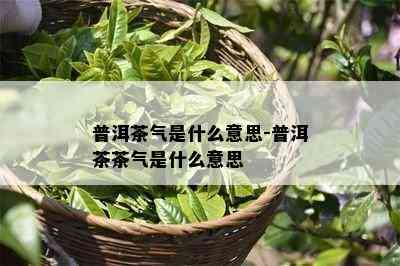 普洱茶气是什么意思-普洱茶茶气是什么意思