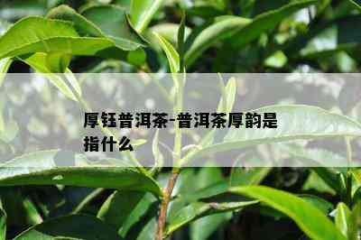 厚钰普洱茶-普洱茶厚韵是指什么