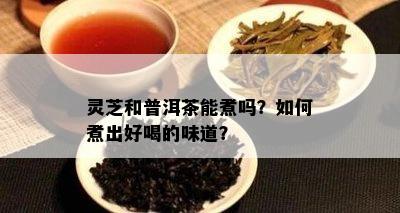 灵芝和普洱茶能煮吗？如何煮出好喝的味道？