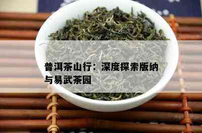 普洱茶山行：深度探索版纳与易武茶园