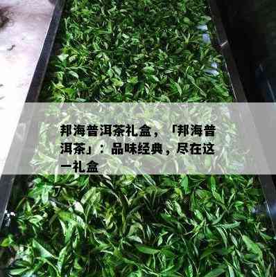 邦海普洱茶礼盒，「邦海普洱茶」：品味经典，尽在这一礼盒