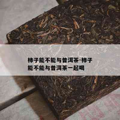 柿子能不能与普洱茶-柿子能不能与普洱茶一起喝