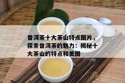 普洱茶十大茶山特点图片，探索普洱茶的魅力：揭秘十大茶山的特点和美图