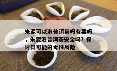 朱泥可以泡普洱茶吗有吗，朱泥泡普洱茶安全吗？探讨其可能的性风险