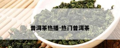 普洱茶热播-热门普洱茶