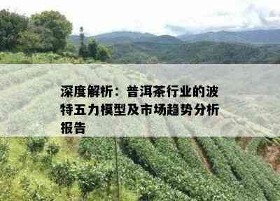 深度解析：普洱茶行业的波特五力模型及市场趋势分析报告