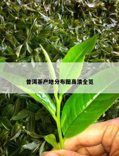 普洱茶产地分布图高清全览