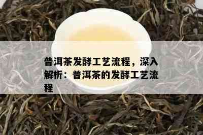 普洱茶发酵工艺流程，深入解析：普洱茶的发酵工艺流程