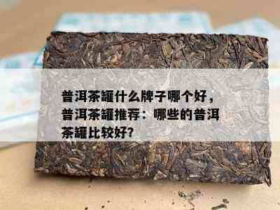 普洱茶罐什么牌子哪个好，普洱茶罐推荐：哪些的普洱茶罐比较好？