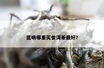 昆明哪里买普洱茶更好？