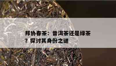 邦协春茶：普洱茶还是绿茶？探讨其身份之谜