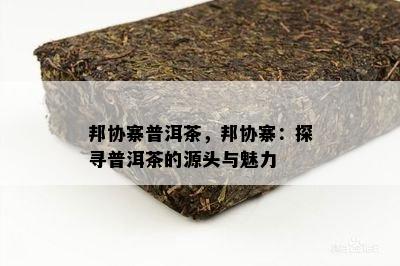 邦协寨普洱茶，邦协寨：探寻普洱茶的源头与魅力