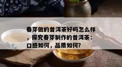 春芽做的普洱茶好吗怎么样，探究春芽制作的普洱茶：口感怎样，品质怎样？