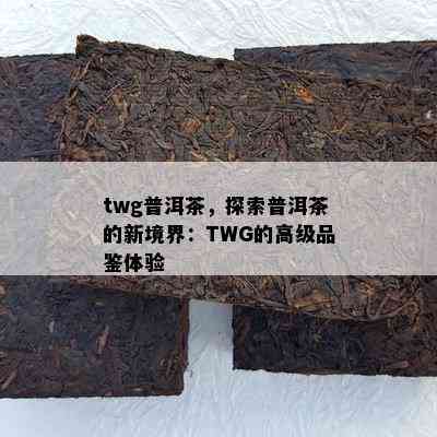 twg普洱茶，探索普洱茶的新境界：TWG的高级品鉴体验