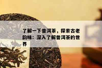 了解一下普洱茶，探索古老韵味：深入了解普洱茶的世界