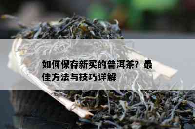 如何保存新买的普洱茶？更佳方法与技巧详解