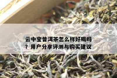 云中宝普洱茶怎么样好喝吗？用户分享评测与购买建议