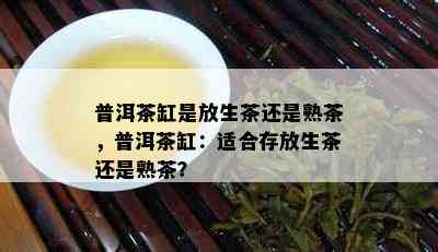 普洱茶缸是放生茶还是熟茶，普洱茶缸：适合存放生茶还是熟茶？