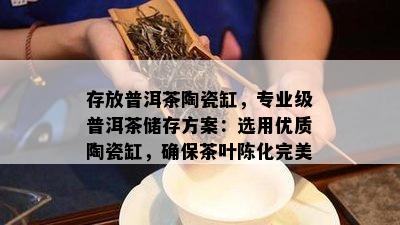 存放普洱茶陶瓷缸，专业级普洱茶储存方案：选用优质陶瓷缸，保证茶叶陈化完美