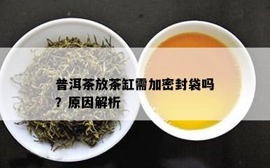 普洱茶放茶缸需加密封袋吗？原因解析