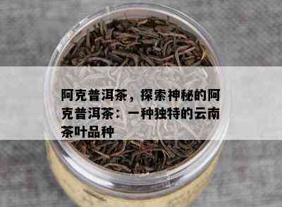 阿克普洱茶，探索神秘的阿克普洱茶：一种特别的云南茶叶品种