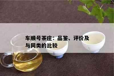 车顺号茶庄：品鉴、评价及与同类的比较