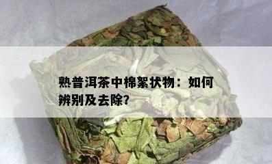 熟普洱茶中棉絮状物：怎样辨别及去除？