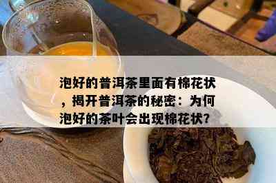 泡好的普洱茶里面有棉花状，揭开普洱茶的秘密：为何泡好的茶叶会出现棉花状？