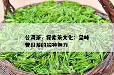 普洱茶，探索茶文化：品味普洱茶的独特魅力