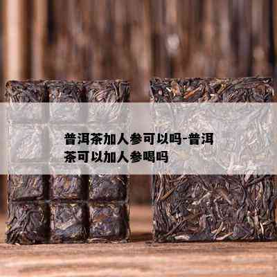 普洱茶加人参可以吗-普洱茶可以加人参喝吗