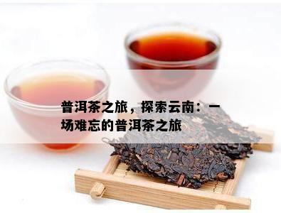 普洱茶之旅，探索云南：一场难忘的普洱茶之旅