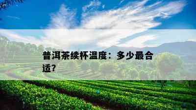 普洱茶续杯温度：多少最合适？