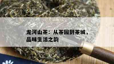 龙河山茶：从茶园到茶城，品味生活之韵