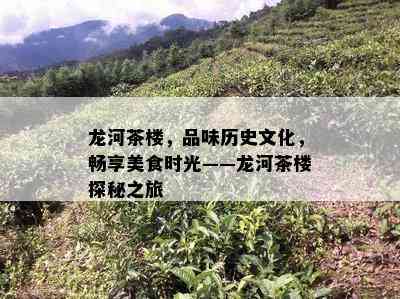 龙河茶楼，品味历史文化，畅享美食时光——龙河茶楼探秘之旅