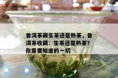 普洱茶藏生茶还是熟茶，普洱茶收藏：生茶还是熟茶？你需要知道的一切