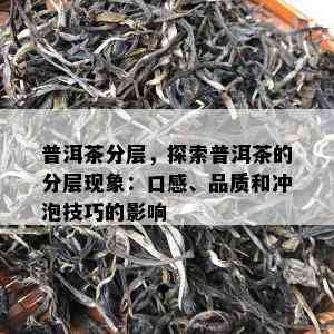 普洱茶分层，探索普洱茶的分层现象：口感、品质和冲泡技巧的影响