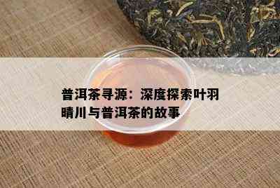 普洱茶寻源：深度探索叶羽晴川与普洱茶的故事