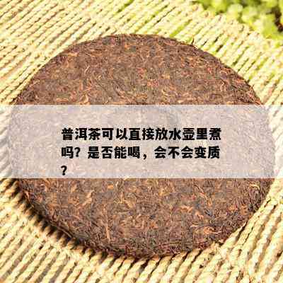 普洱茶可以直接放水壶里煮吗？是不是能喝，会不会变质？