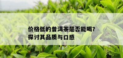 价格低的普洱茶是不是能喝？探讨其品质与口感