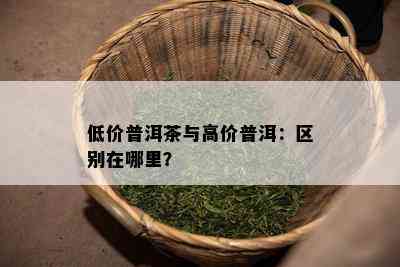 低价普洱茶与高价普洱：区别在哪里？