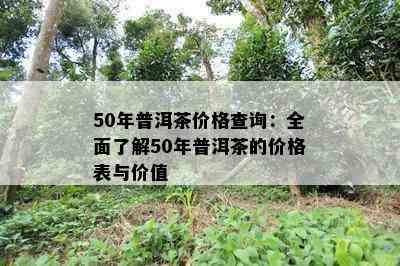 50年普洱茶价格查询：全面熟悉50年普洱茶的价格表与价值