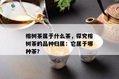 榕树茶属于什么茶，探究榕树茶的品种归属：它属于哪种茶？